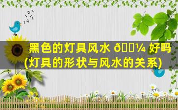 黑色的灯具风水 🐼 好吗(灯具的形状与风水的关系)